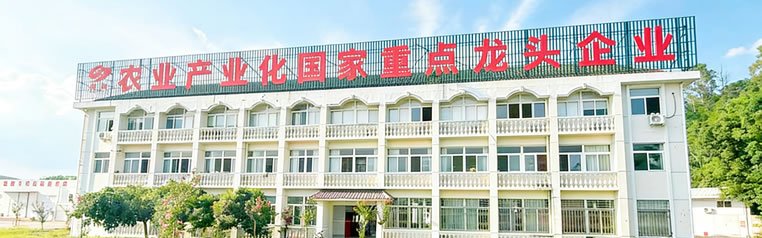 2026年元旦节放假安排通知